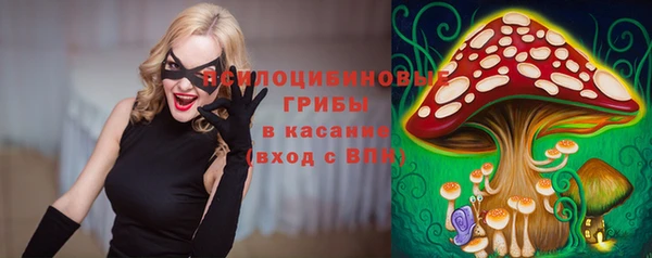 прущая мука Верея