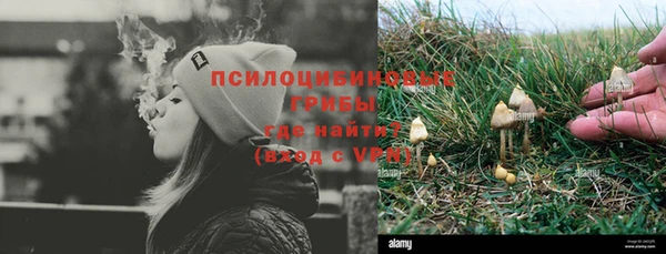 МДПВ Рославль